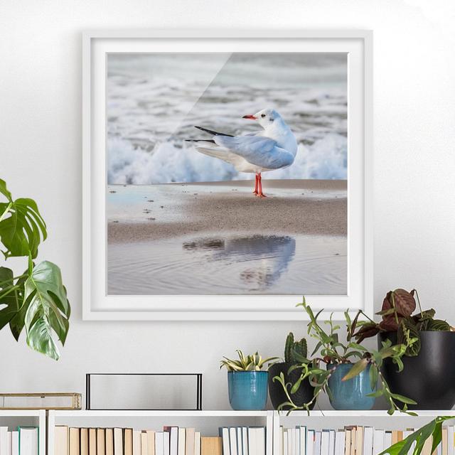 Picture With Frame - Seagull On Beach In Front Of Sea - Square 1:1_Matte Highland Dunes Size: 50cm H x 50cm W x 2cm D, Frame Option: White on Productcaster.