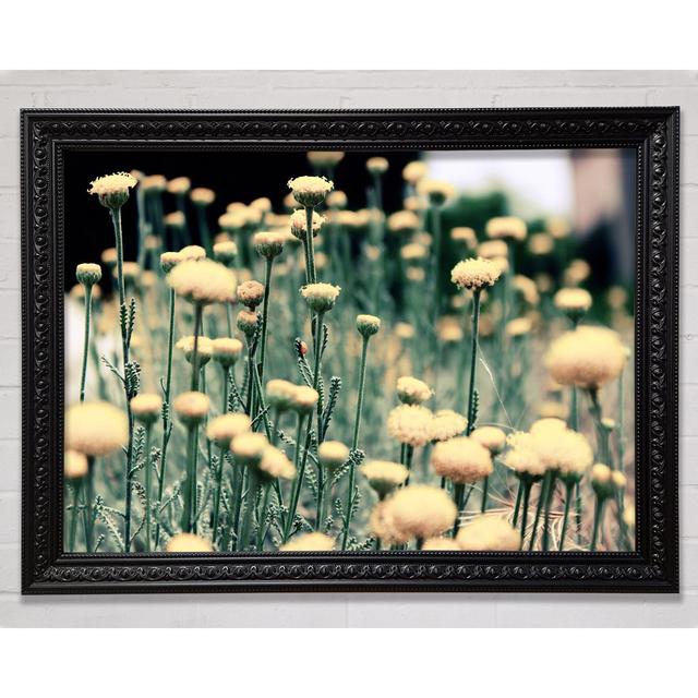 Poppy Stalks - Single Picture Frame Art Prints Brayden Studio Size: 84.1cm H x 118.9cm W on Productcaster.