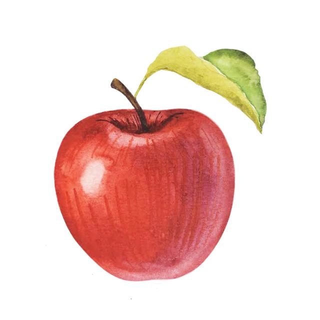 Roter Apfel in Aquarellen von Milaart - Leinwandgemälde Marlow Home Co. Größe: 20cm H x 20cm B x 1,8cm T on Productcaster.