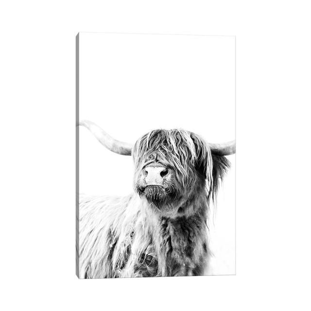 Highland Cattle Frida II by Monika Strigel - Wrapped Canvas Photograph Print Brambly Cottage Size: 66.04cm H x 45.72cm W x 1.91cm D on Productcaster.