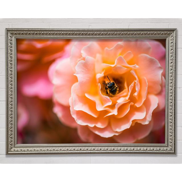 Bee Chilling In A Flower - Print Bright Star Size: 59.7cm H x 84.1cm W on Productcaster.