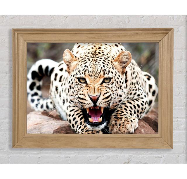 Single Picture Frame Art Prints Bright Star Size: 21cm H x 42cm W on Productcaster.