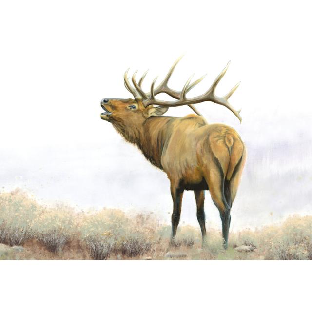 Majestic Elk Crop by James Wiens - Wrapped Canvas Painting Alpen Home Size: 91cm H x 91cm W x 3.8cm D on Productcaster.