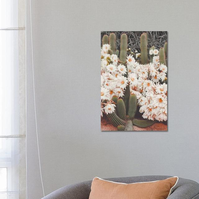 Blooming Cacti by Karen Mandau - Wrapped Canvas Photograph Alpen Home Size: 66.04cm H x 45.72cm W x 3.81cm D on Productcaster.