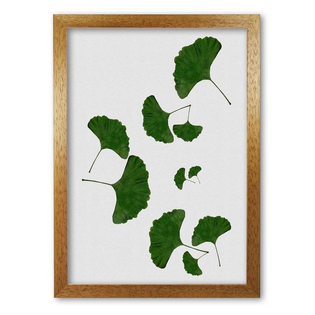 Ginkgo Leaf I - Print East Urban Home Size: 85 cm H x 60 cm W x 5 cm D, Format: Honey Oak Frame on Productcaster.