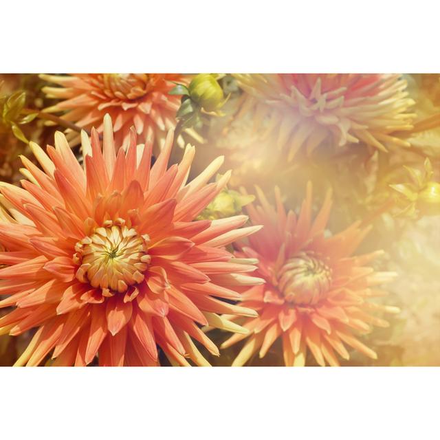 Flower Background by Cattallina - Wrapped Canvas Photograph Latitude Run Size: 61cm H x 91cm W x 3.8cm D on Productcaster.