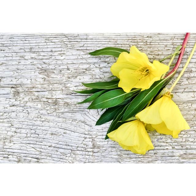 Evening Primrose Bouquet - Wrapped Canvas Photograph 17 Stories Size: 81cm H x 122cm W on Productcaster.