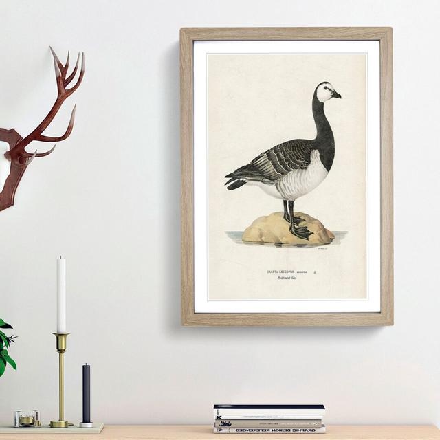 Barnacle Goose by Von Wright - Picture Frame Painting Print East Urban Home Size: 87cm H x 62cm W x 2cm D, Frame Option: Oak Framed on Productcaster.