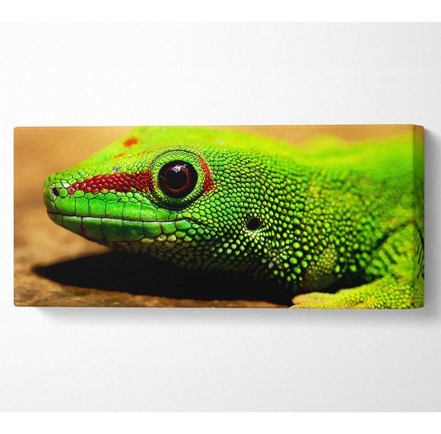 Wrapped Canvas Art Prints August Grove Size: 81.3cm H x 183cm W on Productcaster.