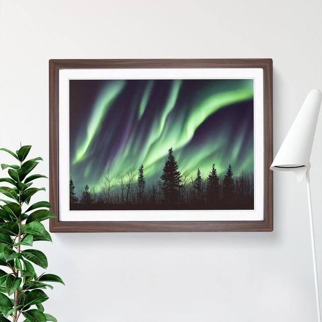 Serene Aurora Borealis - Picture Frame Graphic Art Alpen Home Frame Colour: Walnut , Size: 25cm H x 34cm W x 2cm D on Productcaster.