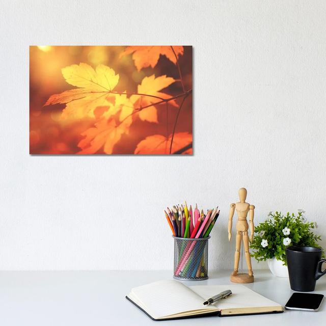 Autumn Leaves Have Arrived by Philippe Sainte-Laudy - Print on Canvas Latitude Run Format: Wrapped Canvas, Size: 20.32cm H x 30.48cm W x 1.91cm D on Productcaster.