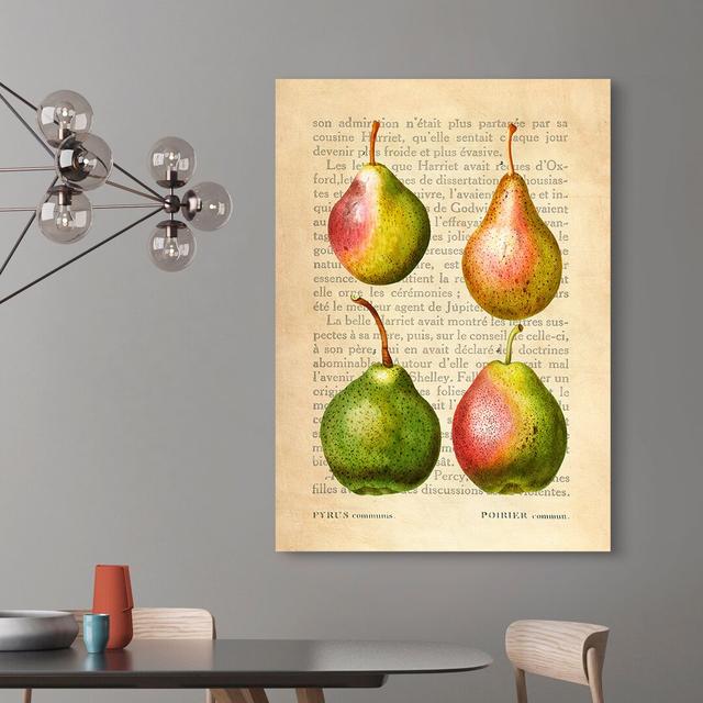 Leinwandbild Pears, After Redouté von Remy Dellal Sommerallee Größe: 60 cm H x 40 cm B x 4 cm T on Productcaster.