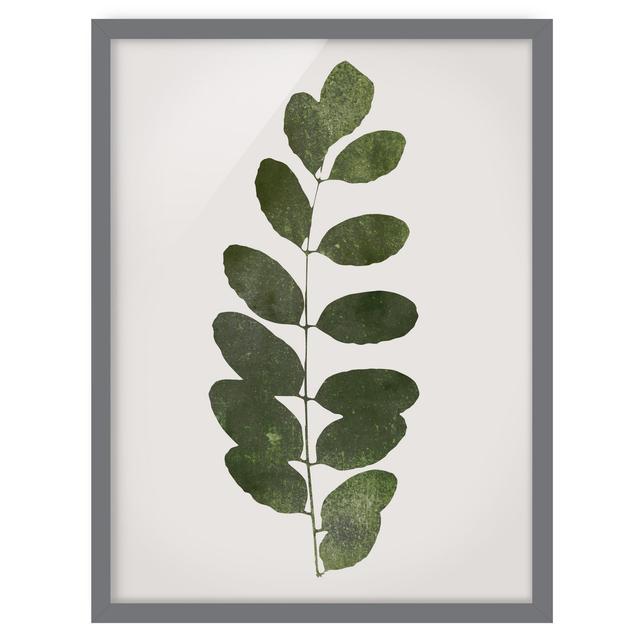 Graphic Plant World - Dark Green - Picture Frame Graphic Art Marlow Home Co. Frame Option: Grey Framed, Size: 40cm H x 30cm W x 2cm D on Productcaster.