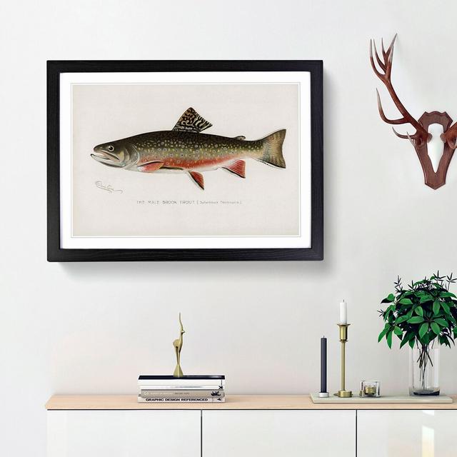 Male Brook Trout by Sherman F. Denton - Picture Frame Art Print East Urban Home Frame Option: Black Framed, Size: 36cm H x 48cm W x 2cm D on Productcaster.