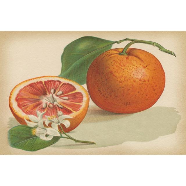 Orange Study I - Wrapped Canvas Print Rosalind Wheeler Size: 20cm H x 30cm W x 3.8cm D on Productcaster.