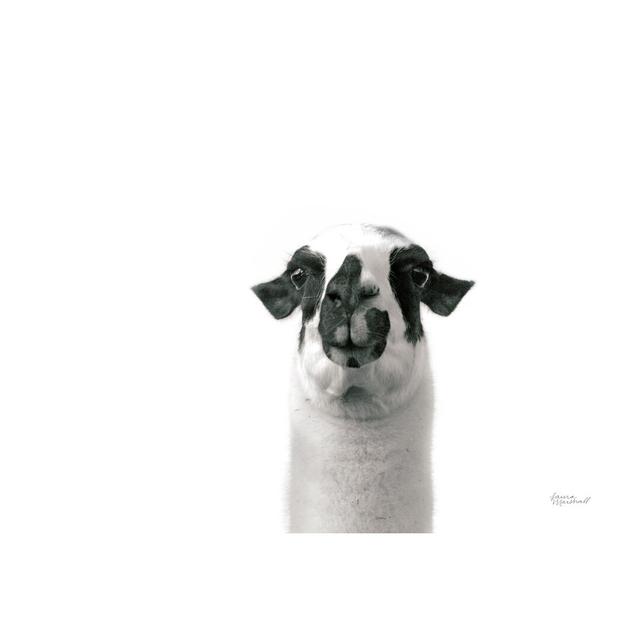 Lovable Llama II by Laura Marshall - Wrapped Canvas Graphic Art Isabelle & Max Size: 20cm H x 30cm W on Productcaster.