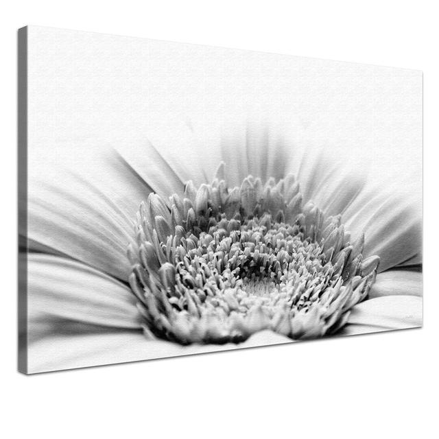 Gerbera - Photograph Print on Canvas East Urban Home Size: 40cm H x 60cm W x 4cm D on Productcaster.