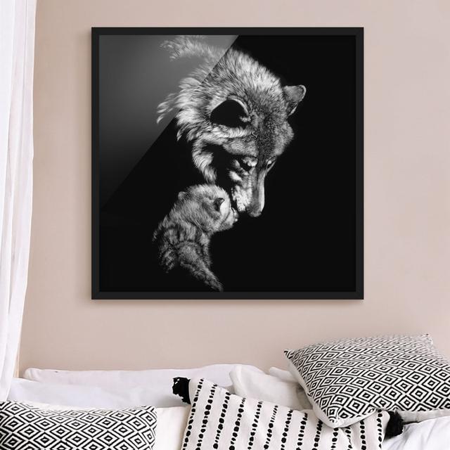 Wolf Before Black - Picture Frame Photograph Union Rustic Frame Option: Black Framed, Size: 50cm H x 50cm W x 2cm D on Productcaster.