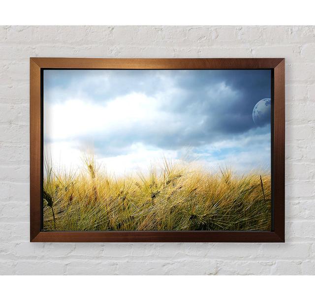 Single Picture Frame Art Prints Ebern Designs Size: 100cm H x 141.4cm W on Productcaster.