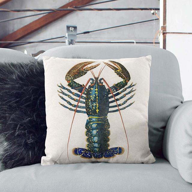 Crimson Crawfish by Charles D' Orbigny Cushion with Filling East Urban Home Size: 55cm H x 55cm W x 20cm D, Backing Colour: Stone on Productcaster.