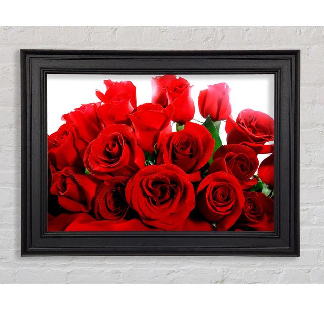 Lovely Red Roses - Single Picture Frame Art Prints Ebern Designs Size: 84.1cm H x 142.2cm W x 8cm D on Productcaster.