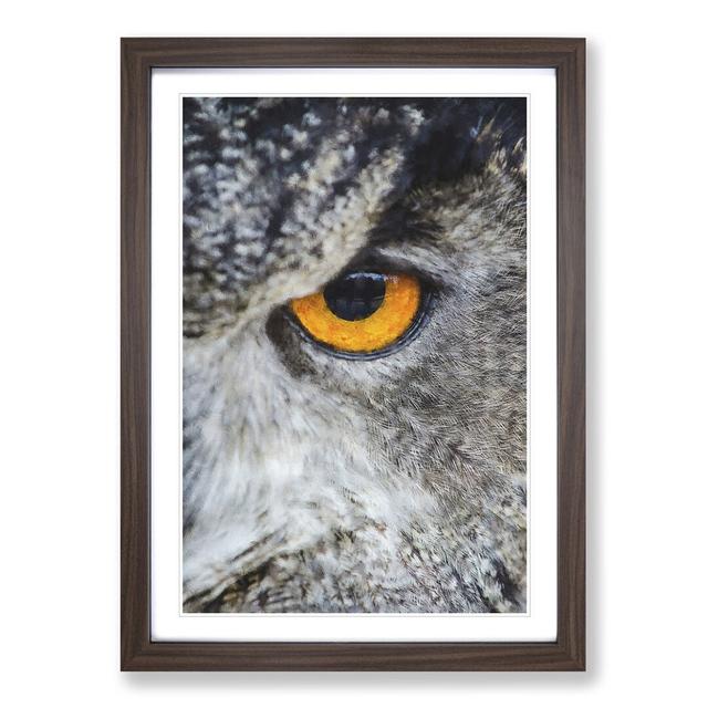 Eye of an Owl - Picture Frame Painting Print East Urban Home Size: 63cm H x 45cm W x 2cm D, Frame Option: Walnut Framed on Productcaster.