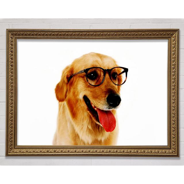 Golden Retriever Nerd Gerahmter Druck Happy Larry Größe: 59,7 cm H x 84,1 cm B on Productcaster.