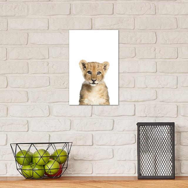 Baby Lion by Sisi & Seb - Wrapped Canvas Photograph Print World Menagerie Size: 30.48cm H x 20.32cm W x 1.91cm D on Productcaster.