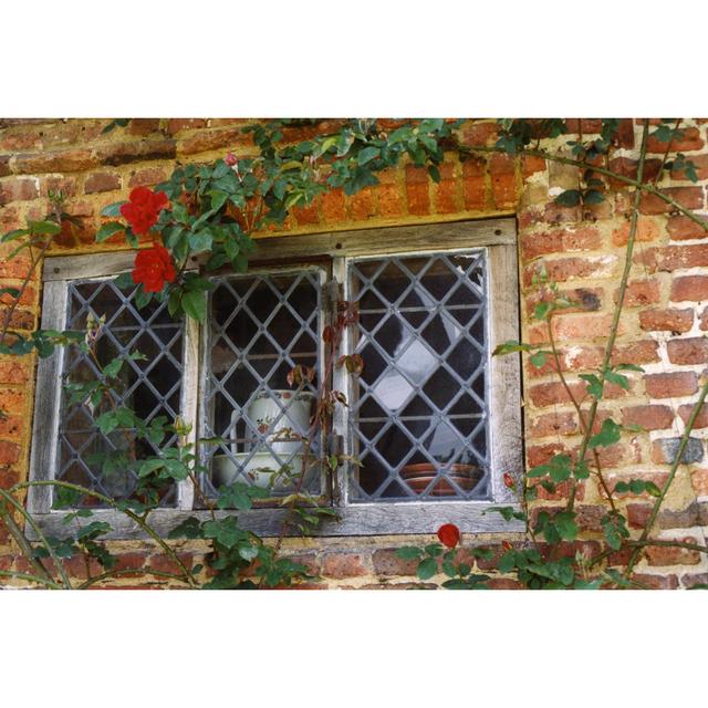 Pitcher Window by Meg McComb - Wrapped Canvas Photograph Brambly Cottage Size: 30cm H x 46cm W on Productcaster.