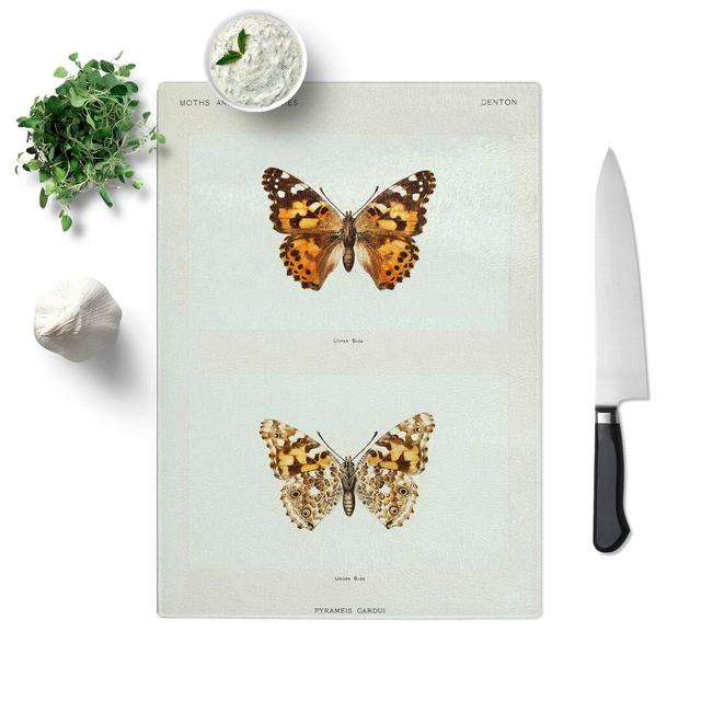 Tempered Glass Painted Lady Butterfly by S.F. Denton Chopping Board East Urban Home Size: 28.5 cm W x 39 cm L on Productcaster.