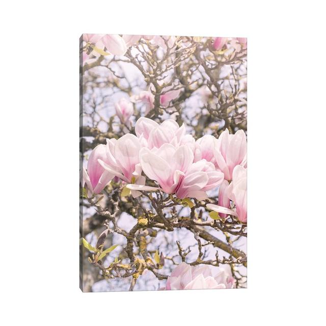 Blooming Magnolia In Montmartre Paris Rosalind Wheeler Size: 30.48cm H x 20.32cm W x 1.91cm D on Productcaster.