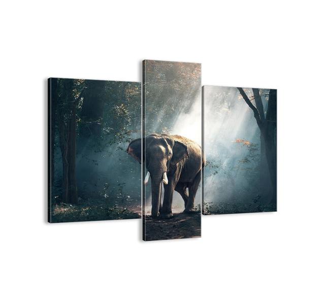 'A Quiet Stroll' - 3 Piece Unframed Photograph Print Set on Canvas Bloomsbury Market Size: 80cm H x 95cm W x 1.8cm D on Productcaster.