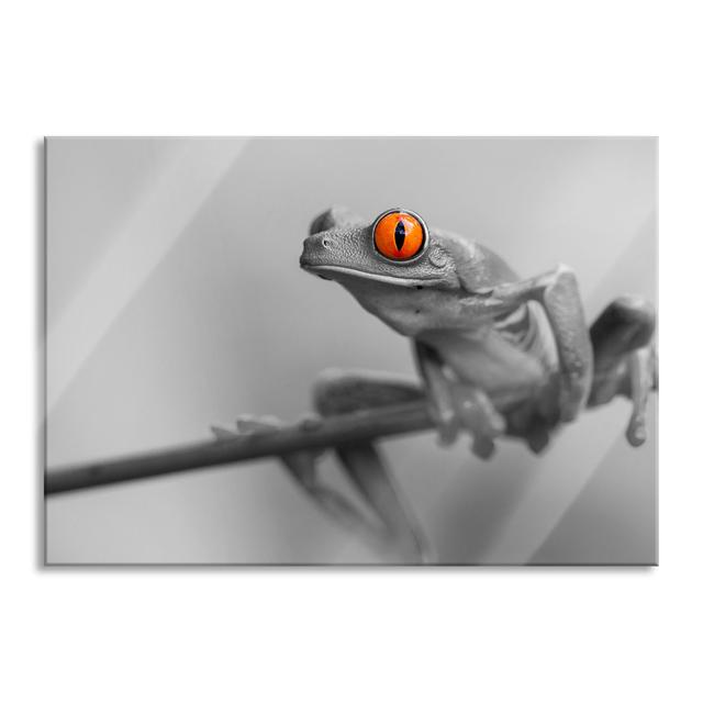 Glasbild Süßer Frosch auf Zweig Brayden Studio Größe: 70 cm H x 100 cm B x 0,4 cm T on Productcaster.