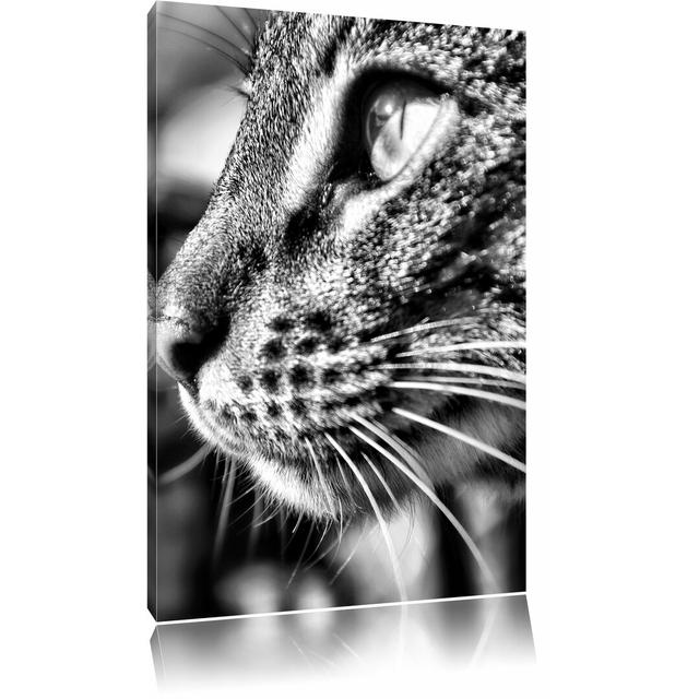 Leinwandbild Anmutige Katze im Seitenprofil in Monochrom East Urban Home Größe: 100 cm H x 70 cm B on Productcaster.