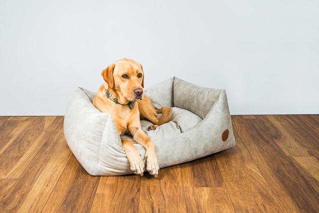 Snug And Cosy Velour Pet Bed Snug and Cosy Colour: White, Size: 28cm H x 70cm W x 56cm D on Productcaster.