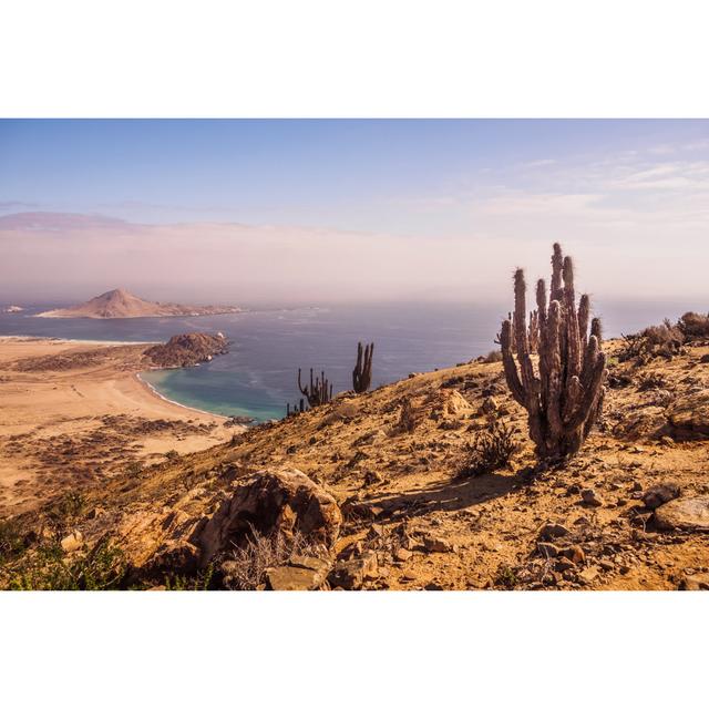 Atacama Desert - Wrapped Canvas Photograph 17 Stories Size: 30cm H x 46cm W x 3.8cm D on Productcaster.