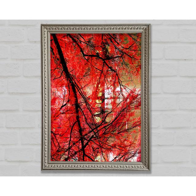 Red Autumn Trees Framed Print Bright Star Size: 29.7cm H x 42cm W on Productcaster.