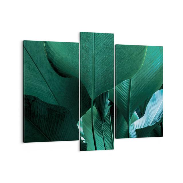 Leaves Palm Trees Banana - 3 Piece Wrapped Canvas Photograph Ebern Designs Size: 80cm H x 95cm W x 1.8cm D on Productcaster.