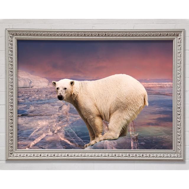 Polar Bear Skies - Single Picture Frame Art Prints Bright Star Size: 29.7cm H x 42cm W x 3cm D on Productcaster.