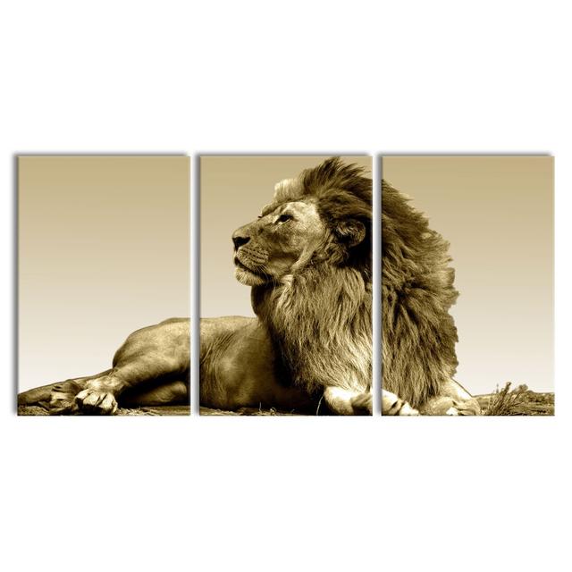 Lying Lion - 3 Piece Wrapped Canvas Print East Urban Home Size: 240 cm H x 120 cm W on Productcaster.