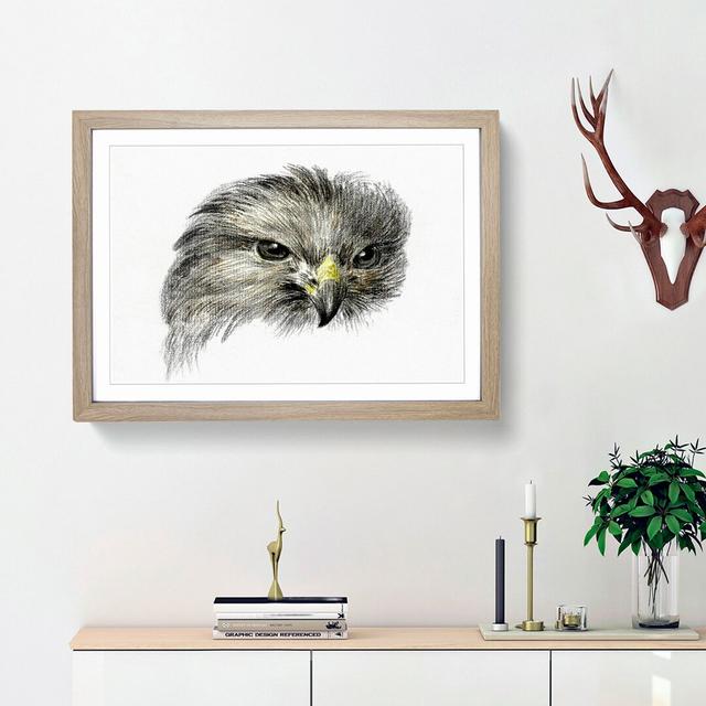 Bird of Prey by Jean Bernard - Picture Frame Painting Print East Urban Home Size: 48cm H x 65cm W x 2cm D, Frame Option: Oak Framed on Productcaster.