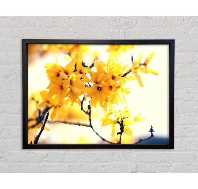 Yellow Tree Flower - Single Picture Frame Art Prints on Canvas Bright Star Size: 100cm H x 141.4cm W on Productcaster.