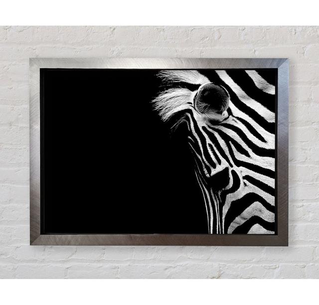 Sad Zebra - Single Picture Frame Art Prints Bright Star Size: 84.1cm H x 118.9cm W x 3.4cm D on Productcaster.