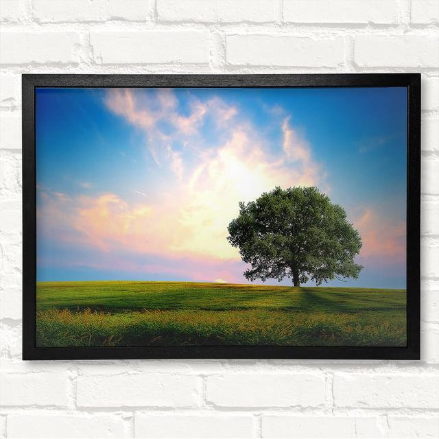 Fresh Nature Framed Print Rosalind Wheeler Format: Silver/Black Framed Paper, Size: 21cm H x 29.7cm W x 8cm D on Productcaster.