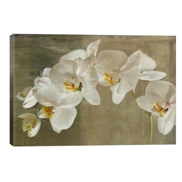 Painted Orchid by Symposium Design - Painting Print on Canvas Ebern Designs Size: 45.72cm H x 66.04cm W x 3.81cm D, Frame Option: No Frame on Productcaster.