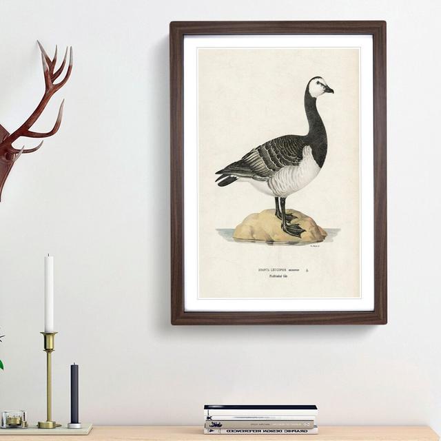 Barnacle Goose by Von Wright - Picture Frame Painting Print East Urban Home Size: 87cm H x 62cm W x 2cm D, Frame Option: Walnut Framed on Productcaster.