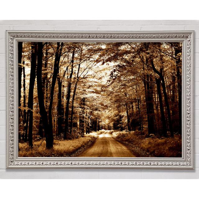 Hidden Chocolate Forest Road - Single Picture Frame Art Prints Bright Star Size: 100cm H x 141.4cm W x 3cm D on Productcaster.