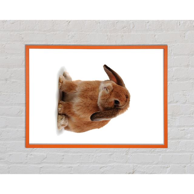 Annaie Bunny Sad Ears - Single Picture Frame Art Prints Brayden Studio Size: 59.7cm H x 84.1cm W x 2cm D on Productcaster.