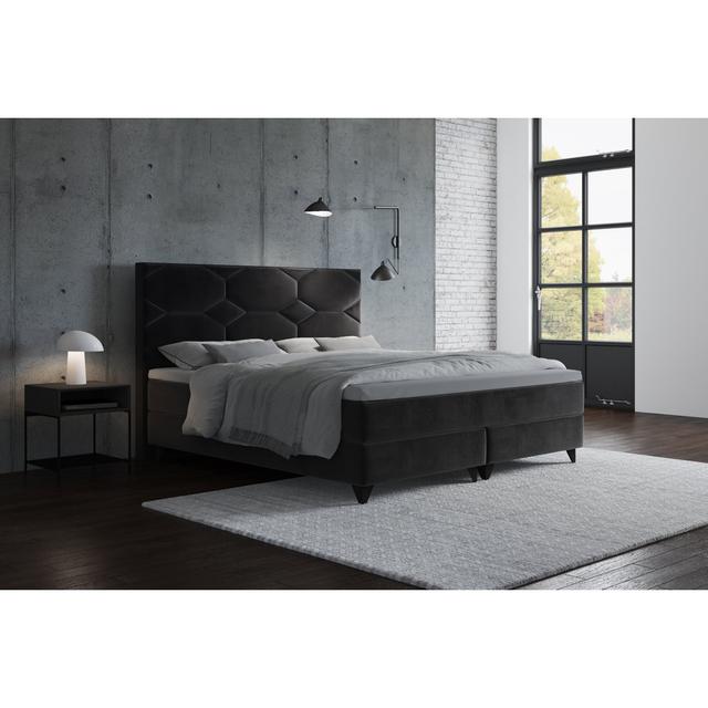 Boxspringbett Adylin mit Premium Visco Topper, mit Samtstoff bezogen Canora Grey Farbe: Dunkelgrau, Matratzenhärte: H3 - ca. 75-100 kg / H4 - ab 100 k on Productcaster.