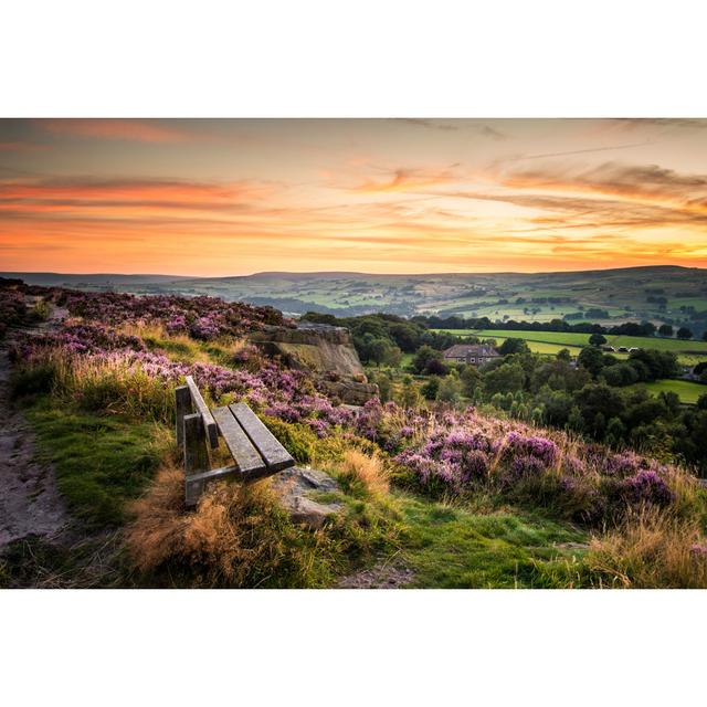 Heather in Full Bloom by Chris2766 - Wrapped Canvas Photograph 17 Stories Size: 30cm H x 46cm W on Productcaster.